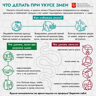 Что делать при укусе змеи?