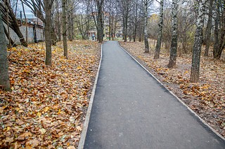 Благоустроенную «народную тропу» в Лесном городке включат в программу «Светлый город» на 2023 год