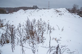 Комплекс уже проведенных работ проверил глава Одинцовского округа Андрей Иванов