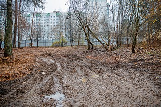 На земельном участке снесли 138 самовольно установленных хозяйственных построек