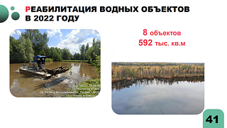 Реабилитация водных объектов
