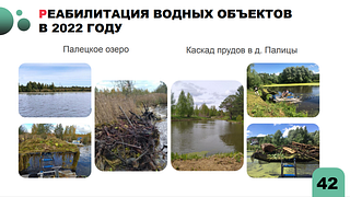 Реабилитация водных объектов