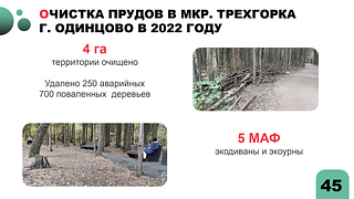 Очистка прудов