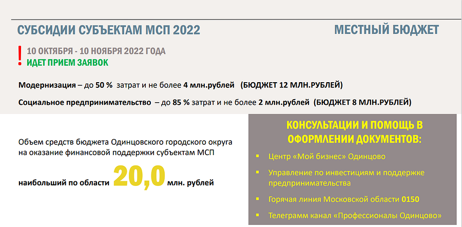 Субсидии субъектам МСП 2022, 2022