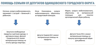 Помощь семьям от депутатов ОГО