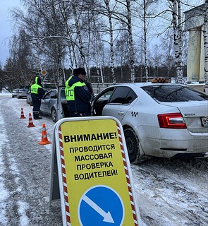Дорожные полицейские проводили разъяснительную и профилактическую работу с родителями и дарили информационные брошюры
