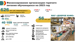 Финансирование организации горячего питания