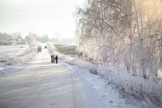 В населенном пункте предстоит построить 25 вводов газа к домовладениям