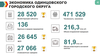 Экономика ОГО