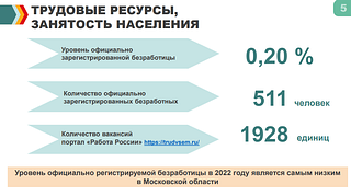 Трудовые ресурсы, занятость населения
