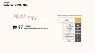 Штатная структура