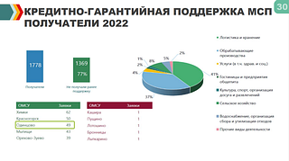 Кредитно-гарантийная поддержка МСП