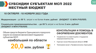 Субсидии субъектам МСП 2022