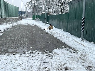Для ликвидации подтоплений специалисты использовали мобильные мотопомпы