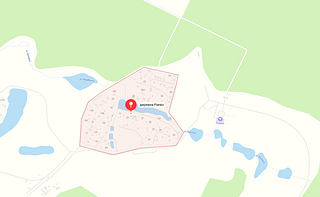 Жители деревни Раево в Одинцовском округе продолжат пользоваться удобной для них дорогой