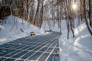 Работы по обустройству Малинового оврага в Звенигороде завершат 25 декабря