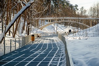 Работы по обустройству Малинового оврага в Звенигороде завершат 25 декабря