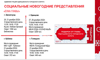 Новогодние представления