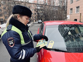 Одинцовские Госавтоинспекторы провели профилактическую акцию «Безопасный двор»