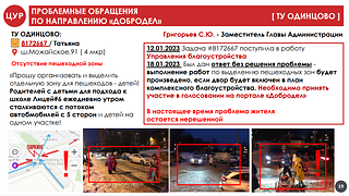 Проблемные обращения по направлению «Добродел»