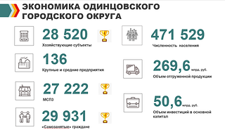 Экономика ОГО