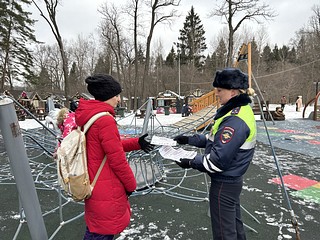 Госавтоинспекторы напомнили взрослым о перевозке детей в автомобилях и использовании ремней безопасности