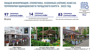 В Одинцовском округе в 2023 году планируется открыть около 100 летних кафе