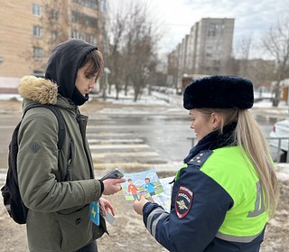 Автоинспекторы напомнили пешеходам о безопасном переходе проезжей части дороги