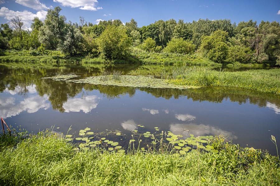 В Одинцовском округе расчистят 7 прудов в 2023 году по программе «100 прудов и озер», Март