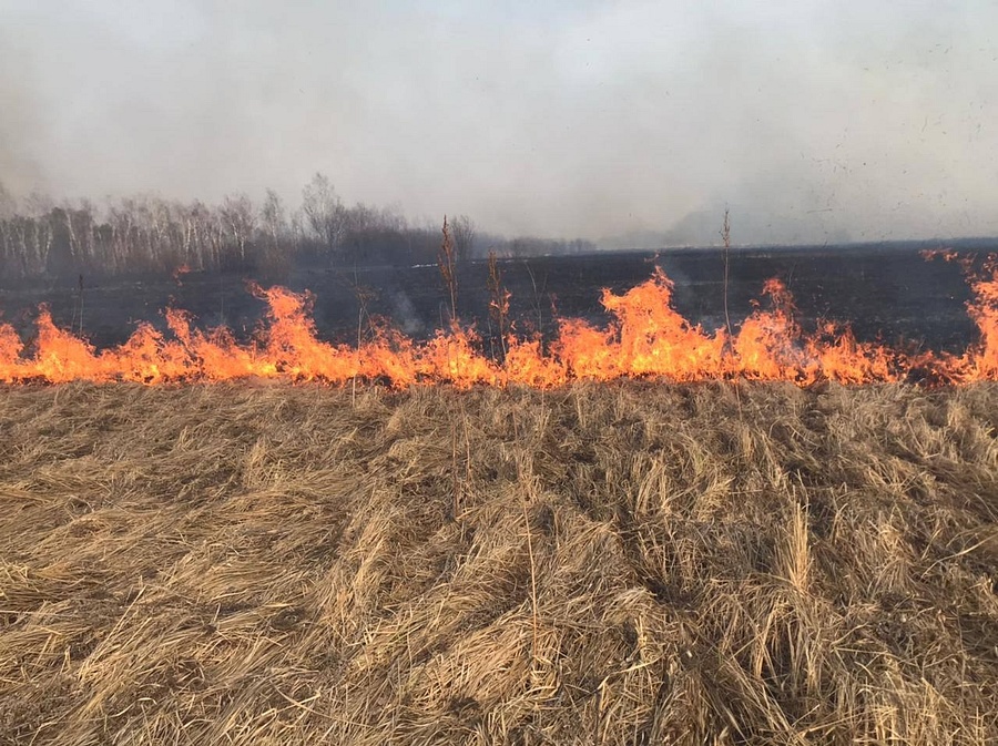 На территории Московской области запрещается проведение выжигания сухой травы в период с 15 марта по 15 ноября, Март