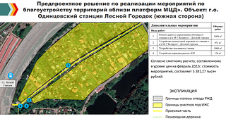 Возле станции МЦД-4 «Лесной Городок» в Одинцовском округе устроят дополнительную парковку