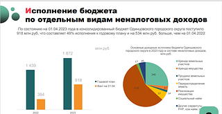 Исполнение бюджета по отдельным видам неналоговых доходов