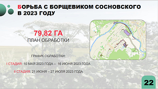 Борьба с борщевиком Сосновского