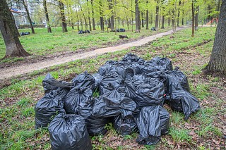Субботник в парковой зоне Одинцово