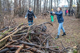 В первом весеннем субботнике, который прошел в лесной полосе у деревни Глазынино, приняли участие руководитель муниципалитета Андрей Иванов, депутаты, активные жители и общественники — вместе они убирали мусор, валежник, удаляли сухие деревья и ветки