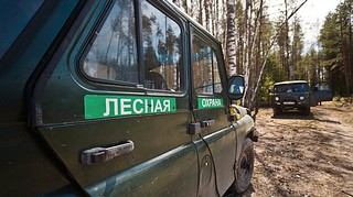 В лесах Подмосковья 10 апреля стартует Мероприятие по пожарной безопасности «Смежник», Фото: пресс-служба Комитета лесного хозяйства Московской области