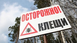 В Московской области активизировались клещи, Фото: РИА Новости, Павел Лисицын