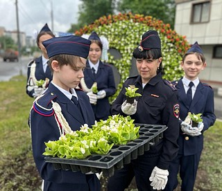 Для создания тематической клумбы высадили более 500 растений