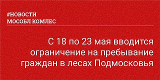 На всей территории Одинцовского городского округа введено ограничение на пребывание граждан в лесах