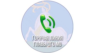 В Одинцово работает «Горячая линия главы»
