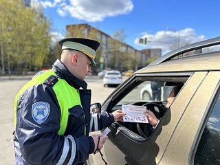 В Одинцовском округе прошел профилактический рейд «Детское кресло»