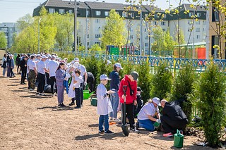 Территория детского сада № 74 в Кубинке стала центральной площадкой эколого- патриотической акции «Лес Победы» в Одинцовском округе