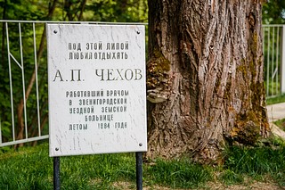 Андрей Иванов и жители Звенигорода высадили молодую липу в новом сквере имени А. П. Чехова