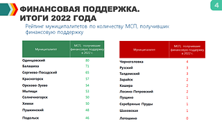 Финансовая поддержка. Итоги 2022 года