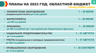 Субсидии субъектам МСП 2023. Областной бюджет