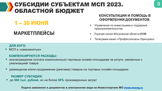 Субсидии субъектам МСП 2023. Областной бюджет