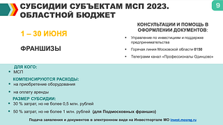 Субсидии субъектам МСП 2023. Областной бюджет