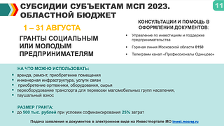 Субсидии субъектам МСП 2023. Областной бюджет