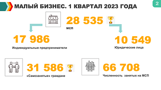 Малый бизнес. 1 квартал 2023 года