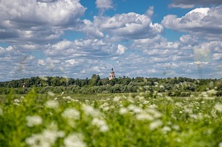 В деревне Ямщина Одинцовского округа появится быстрый интернет
